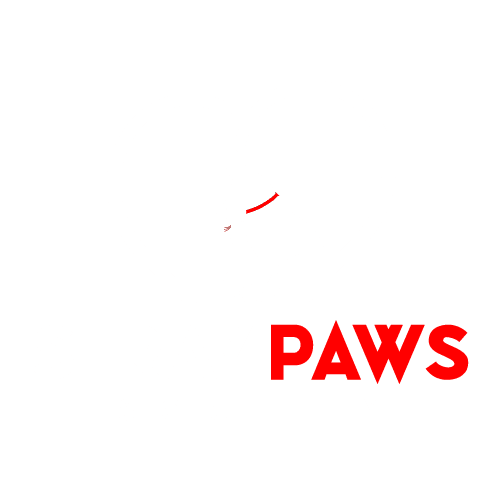 Stray Paws Society
